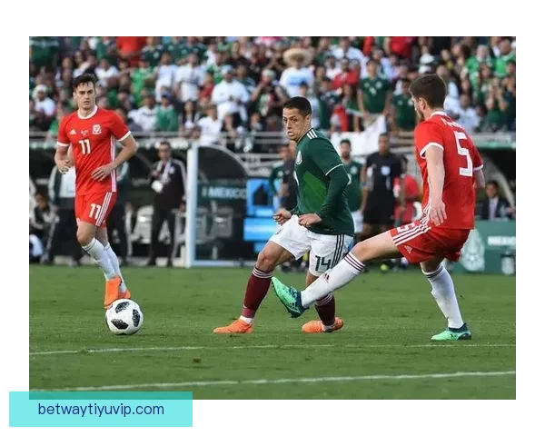 围绕betway体育打造全球领先数字体育娱乐生态新格局探索发展路径 围绕betway体育打造全球领先数字体育娱乐生态新格局探索发展路径